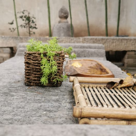 10月 娑婆深处觅净土 又现终南落清凉 蝉友圈10月朝圣游学纪实