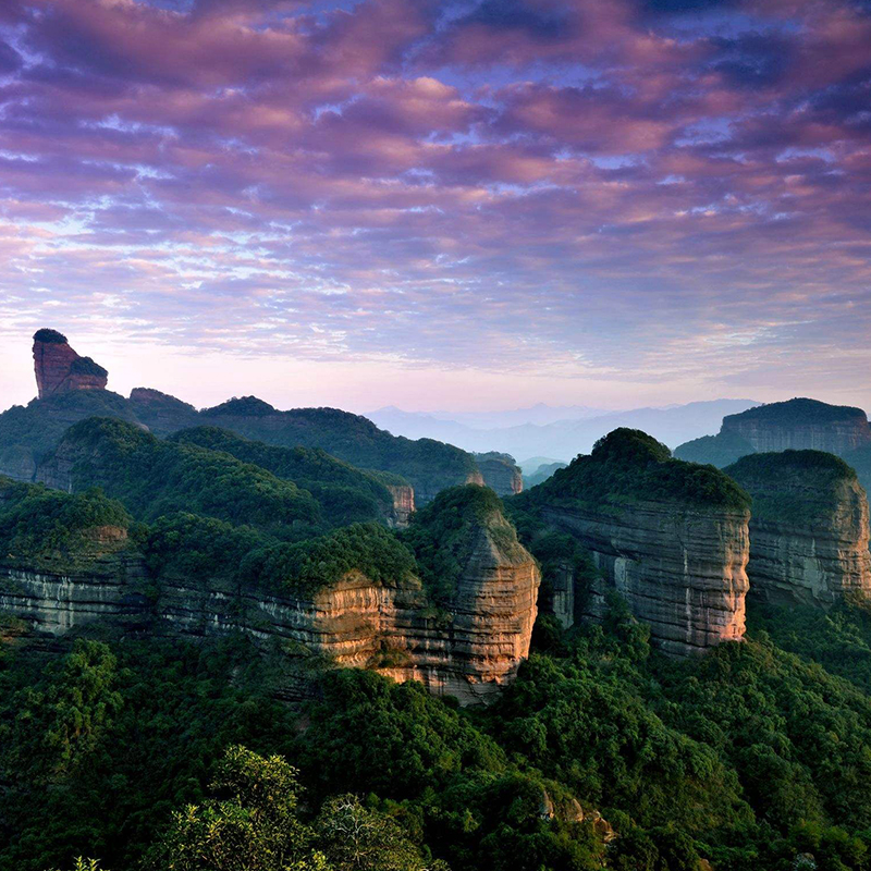 VEGEMALL  10  万物生灵禅素健养游学