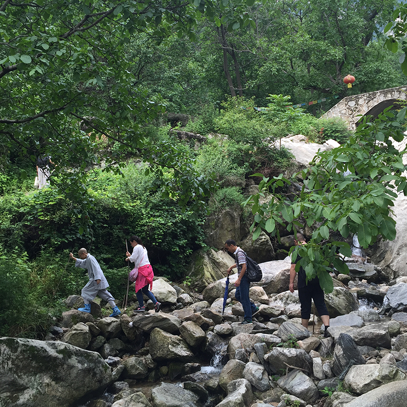 VEGEMALL  11  五方纳气禅素健养游学