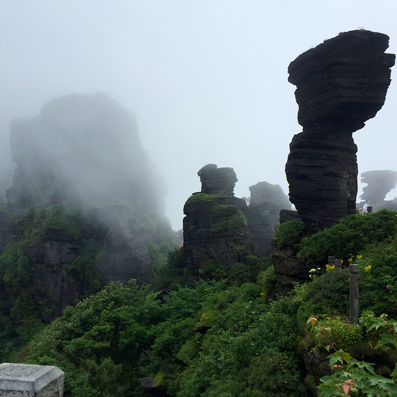 VEGEMALL  12  道应交感禅素健养游学