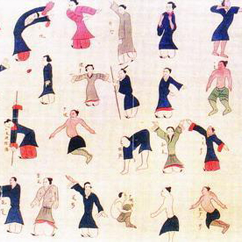 VEGEMALL 03  素食健康管理暨导引健养基础研学