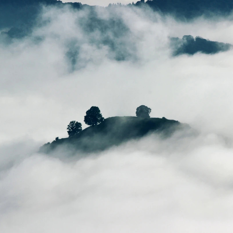 VEGEMALL 04  生命秘要暨性德调摄健养基础研学